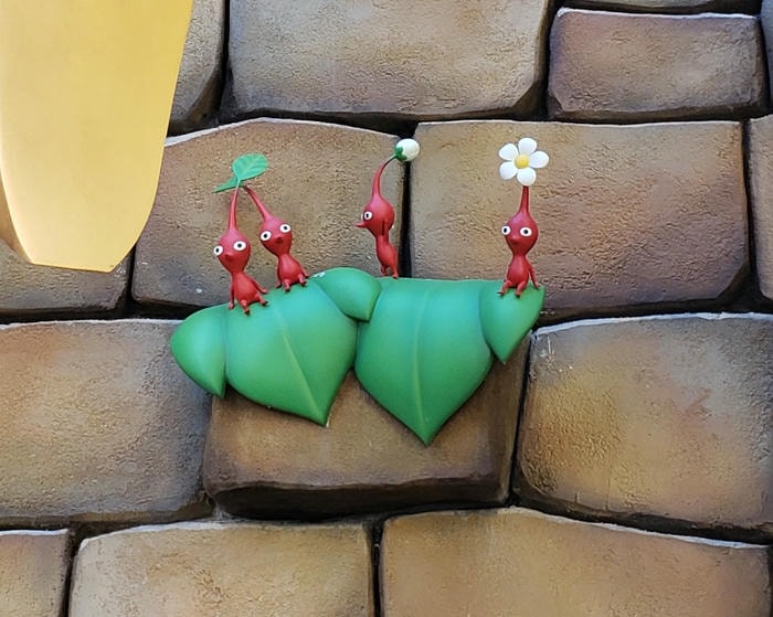 phone pics from florida